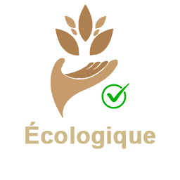 Ecologique Icone